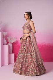 PF  6041 COLOUR’S